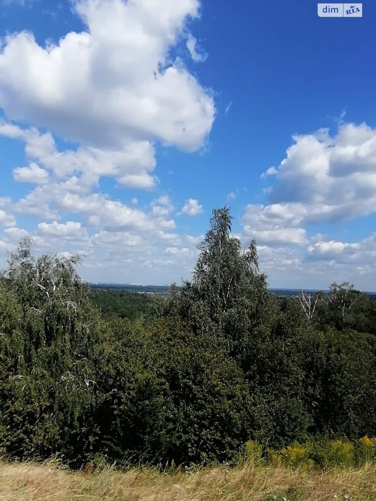Земельна ділянка під житлову забудову в Підгірцях, площа 14 соток фото 1 Земельна ділянка під житлову забудову в Підгірцях, площа 14 соток фото 1