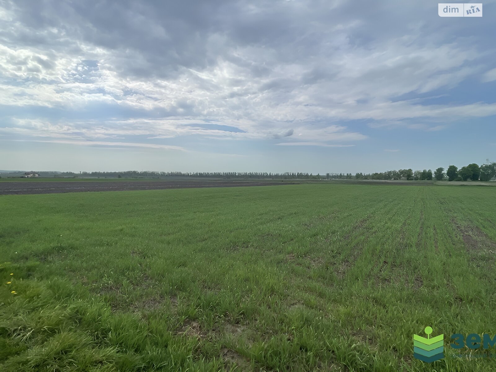 Земельна ділянка під житлову забудову в Підпечерах, площа 21.59 сотки фото 1 Земельна ділянка під житлову забудову в Підпечерах, площа 21.59 сотки фото 1