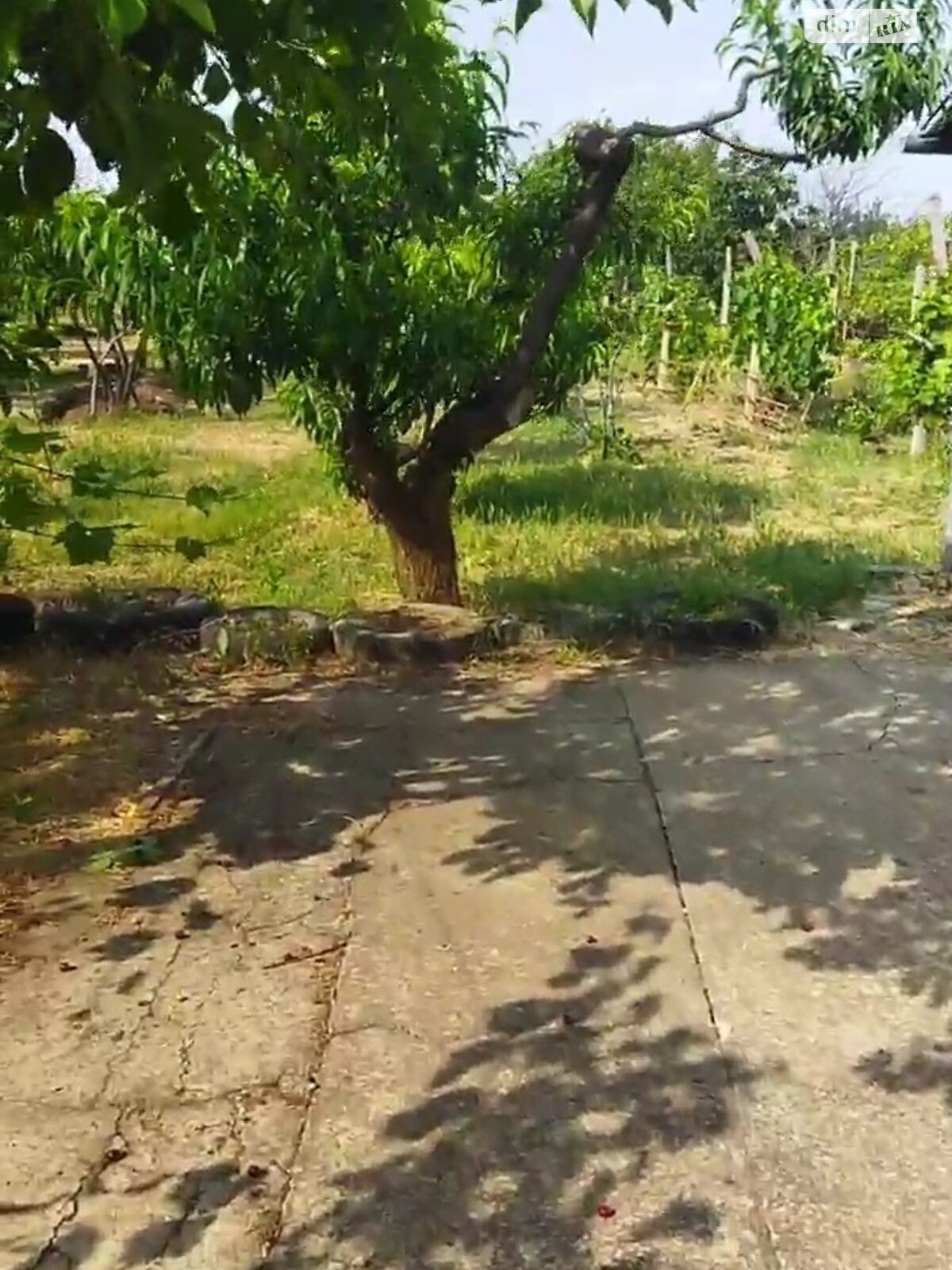 Земельна ділянка під житлову забудову в Полігоні, площа 27 соток фото 1 Земельна ділянка під житлову забудову в Полігоні, площа 27 соток фото 1