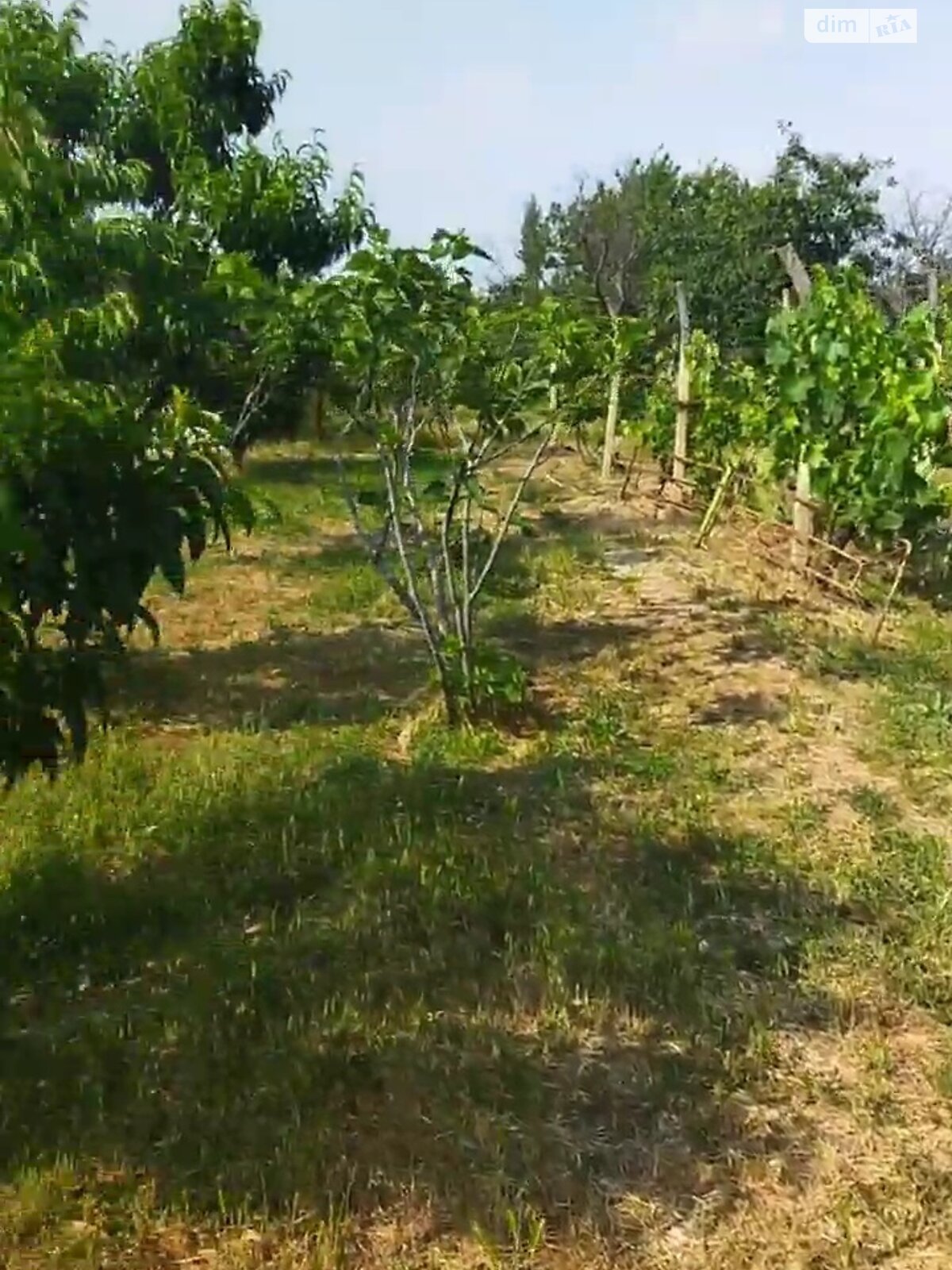 Земельна ділянка під житлову забудову в Полігоні, площа 27 соток фото 1 Земельна ділянка під житлову забудову в Полігоні, площа 27 соток фото 1