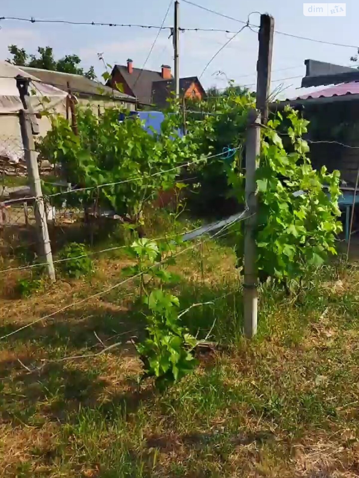 Земельна ділянка під житлову забудову в Полігоні, площа 27 соток фото 1 Земельна ділянка під житлову забудову в Полігоні, площа 27 соток фото 1