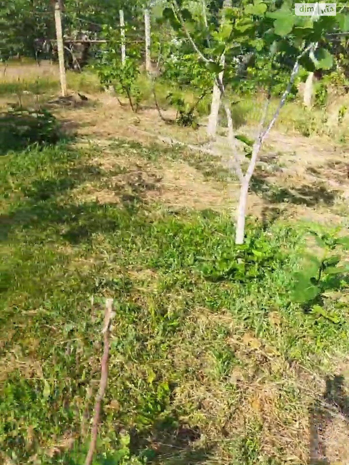 Земельна ділянка під житлову забудову в Полігоні, площа 27 соток фото 1 Земельна ділянка під житлову забудову в Полігоні, площа 27 соток фото 1