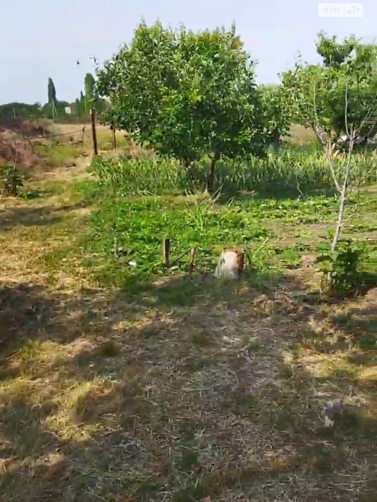 Земельна ділянка під житлову забудову в Полігоні, площа 27 соток фото 1 Земельна ділянка під житлову забудову в Полігоні, площа 27 соток фото 1