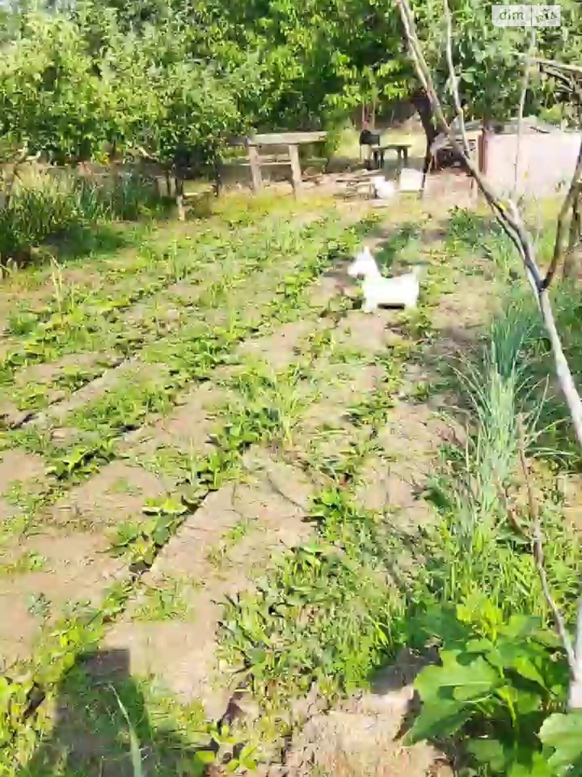 Земельна ділянка під житлову забудову в Полігоні, площа 27 соток фото 1 Земельна ділянка під житлову забудову в Полігоні, площа 27 соток фото 1