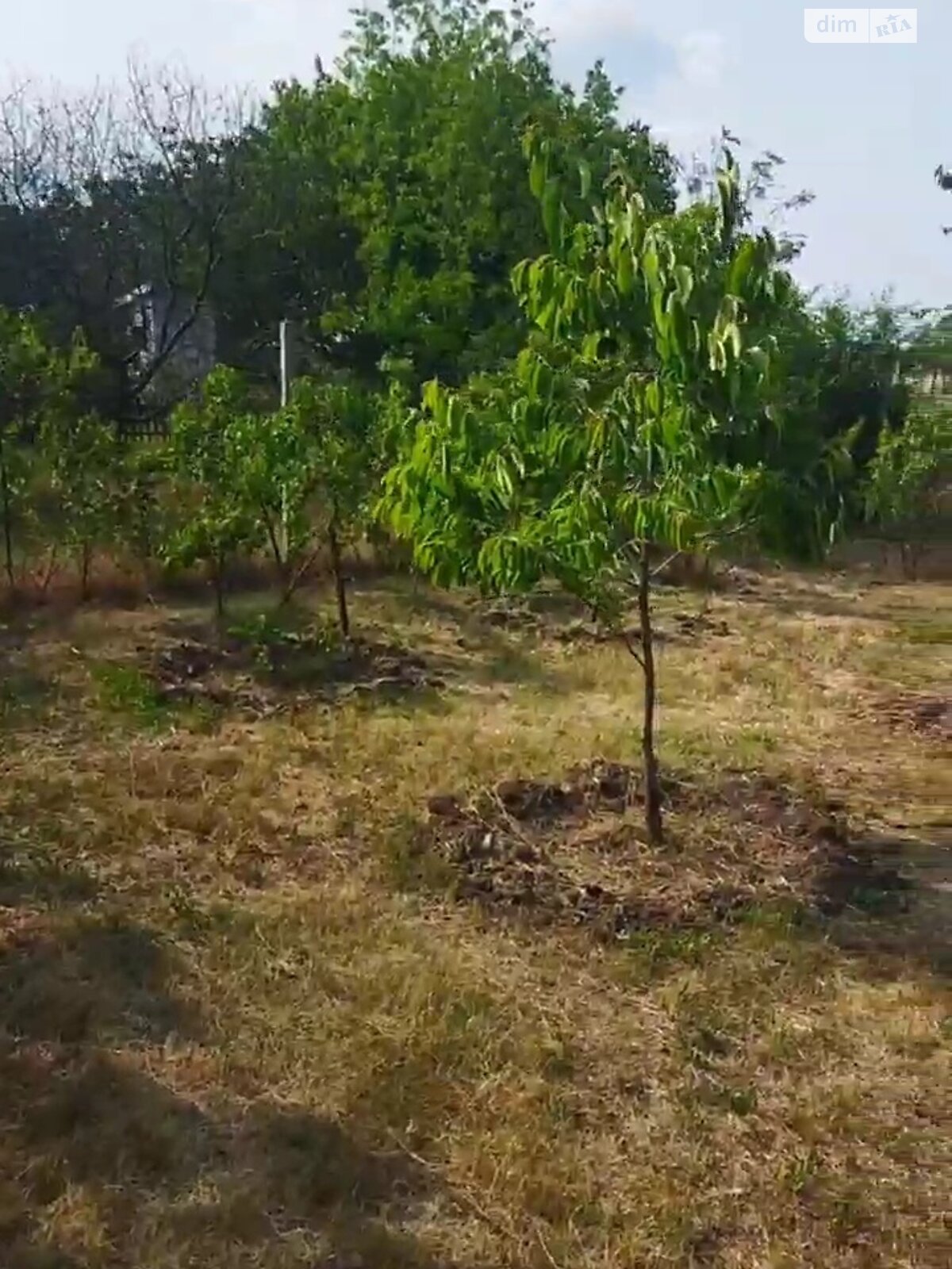 Земельна ділянка під житлову забудову в Полігоні, площа 27 соток фото 1 Земельна ділянка під житлову забудову в Полігоні, площа 27 соток фото 1