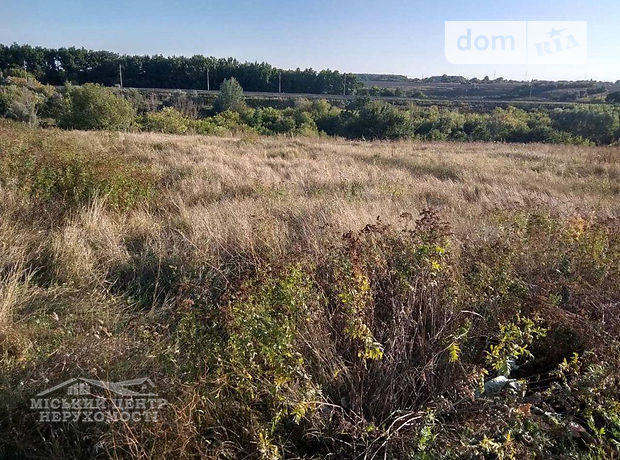 Земля под жилую застройку в селе Шостаки, площадь 15 соток фото 1 Земля под жилую застройку в селе Шостаки, площадь 15 соток фото 1
