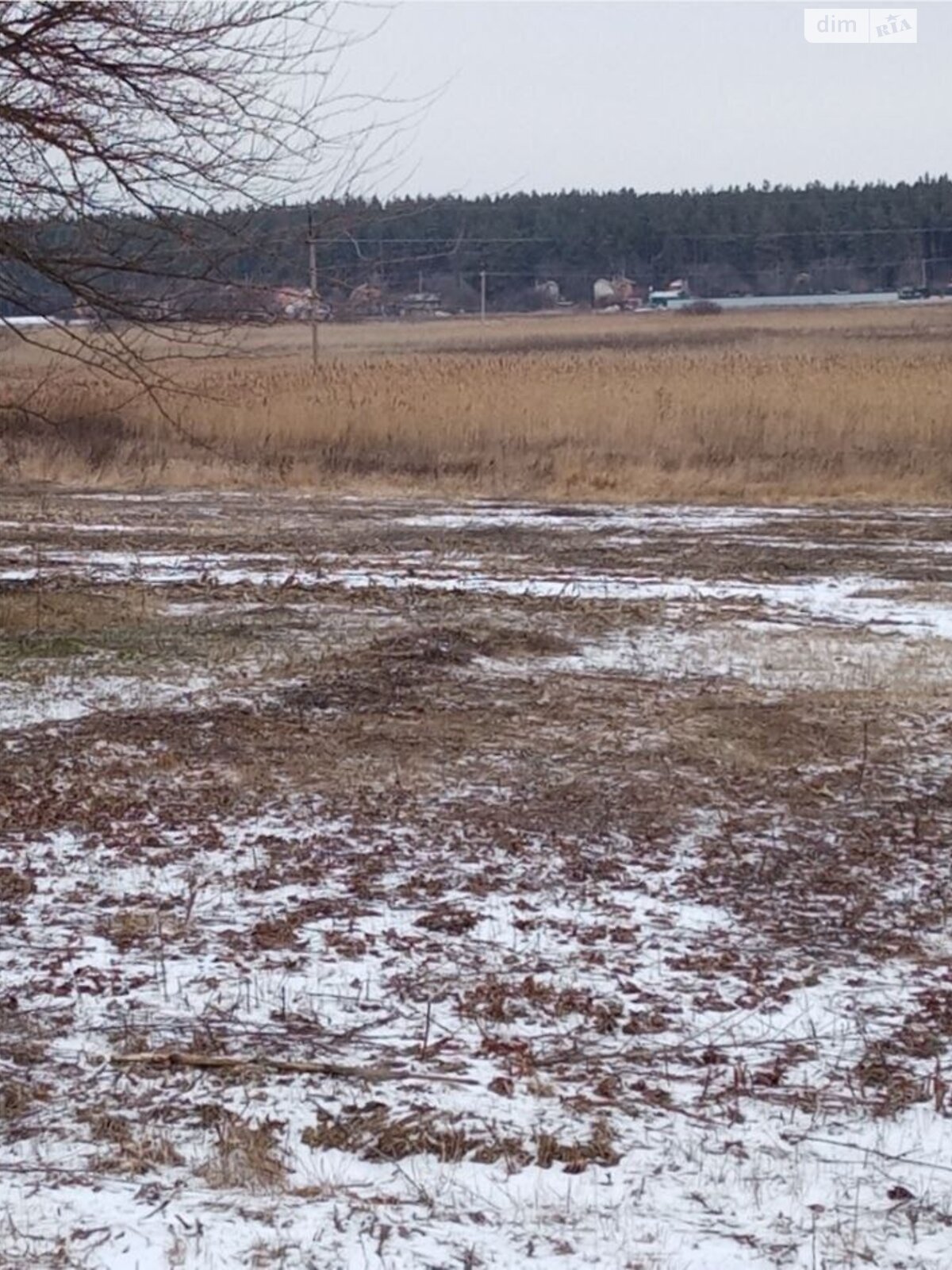 Земля під житлову забудову в Полтаві, район Полтава, площа 61 сотка фото 1