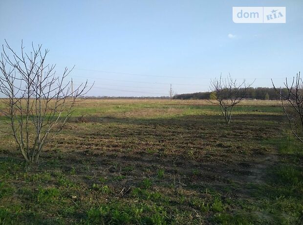 Земля под жилую застройку в Полтаве, район Россошенцы, площадь 22 сотки фото 1 Земля под жилую застройку в Полтаве, район Россошенцы, площадь 22 сотки фото 1