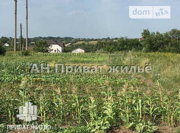 Земля под жилую застройку в селе Шостаки, площадь 18 соток фото 1 Земля под жилую застройку в селе Шостаки, площадь 18 соток фото 1