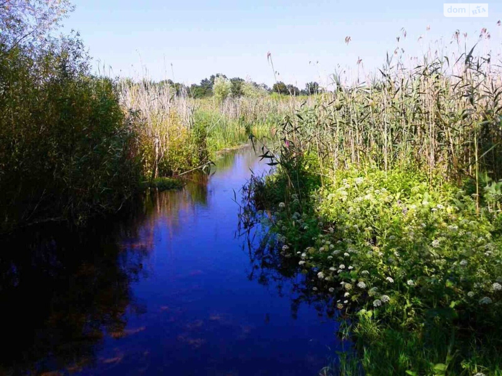 Земельна ділянка під житлову забудову в Степанівці, площа 59 соток фото 1