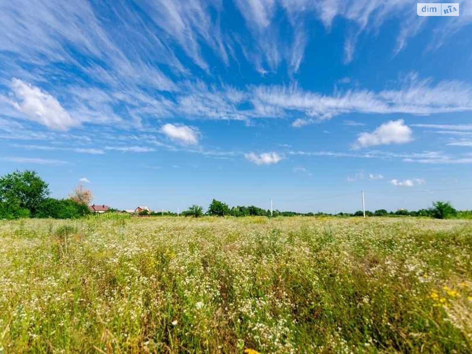 Земля под жилую застройку, площадь 8 соток фото 1