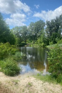 Земля під житлову забудову в Полтаві, район Вакуленці, площа 20.22 сотки фото 2 Земля під житлову забудову в Полтаві, район Вакуленці, площа 20.22 сотки фото 2