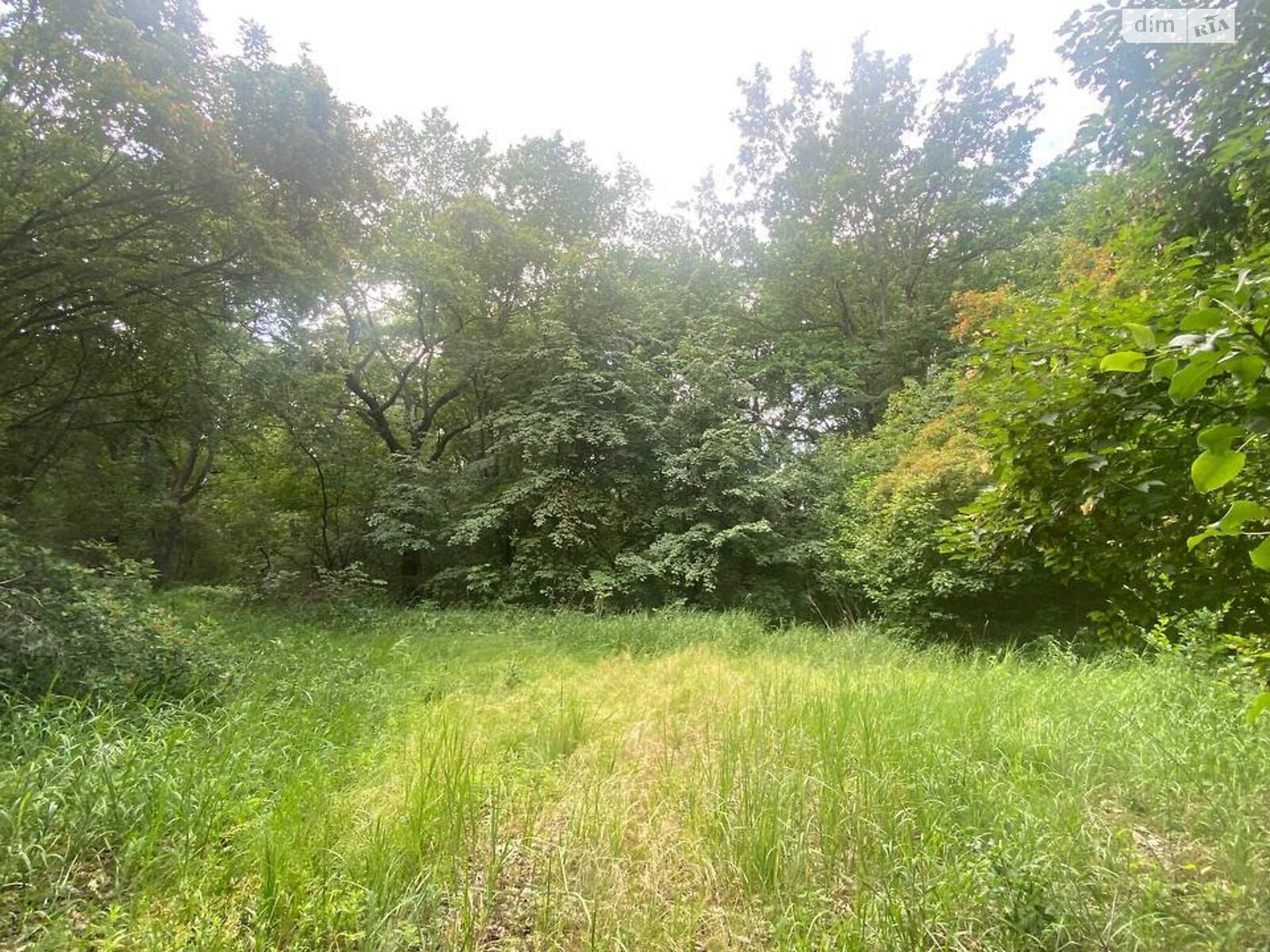 Земля під житлову забудову в Полтаві, район Вакуленці, площа 20.22 сотки фото 1 Земля під житлову забудову в Полтаві, район Вакуленці, площа 20.22 сотки фото 1