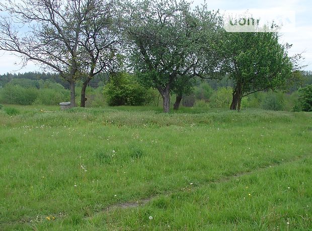Земля под жилую застройку в селе Верхолы, площадь 16 соток фото 1 Земля под жилую застройку в селе Верхолы, площадь 16 соток фото 1