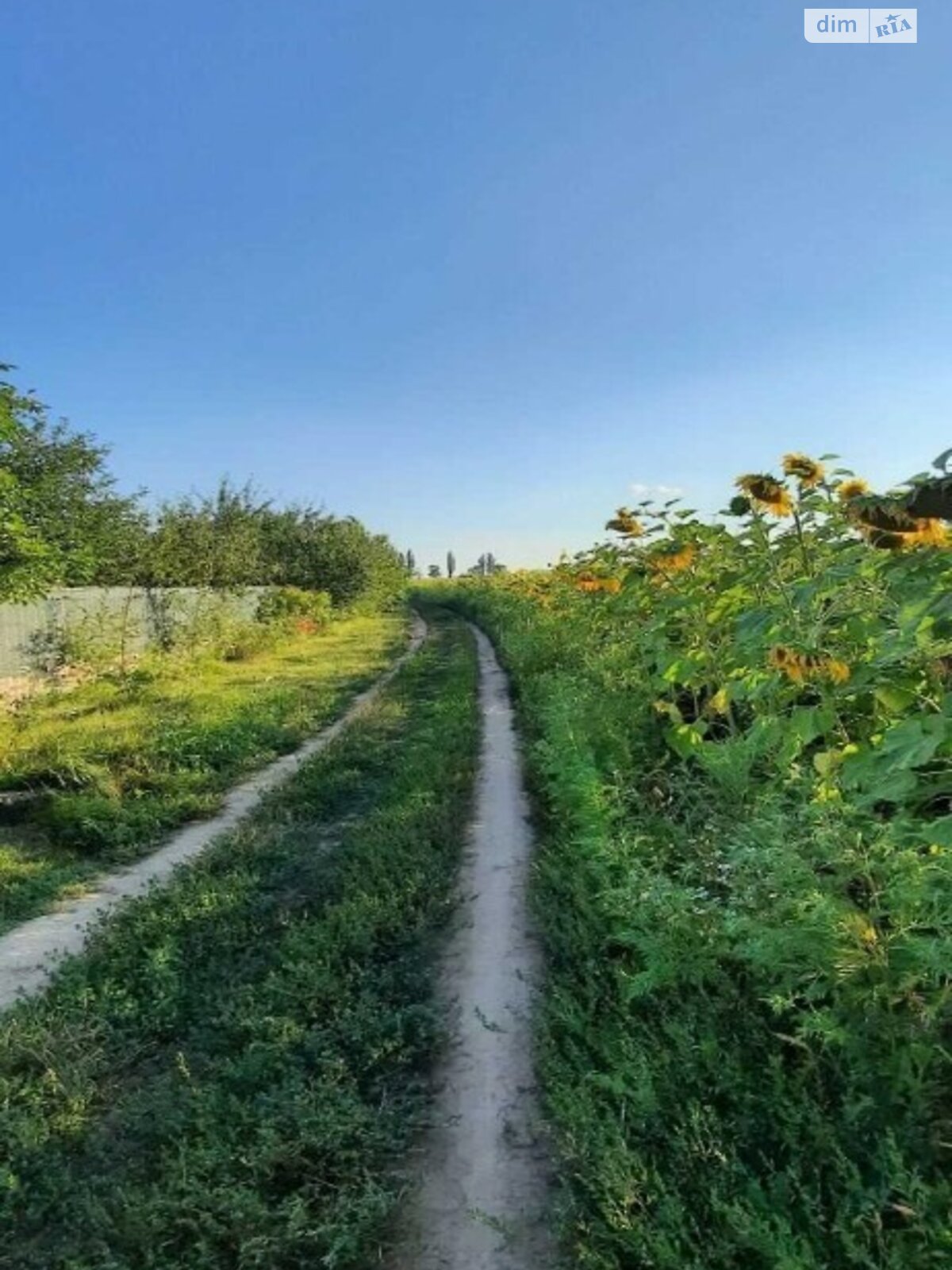 Земля під житлову забудову в Полтаві, район Яр, площа 12.2 сотки фото 1