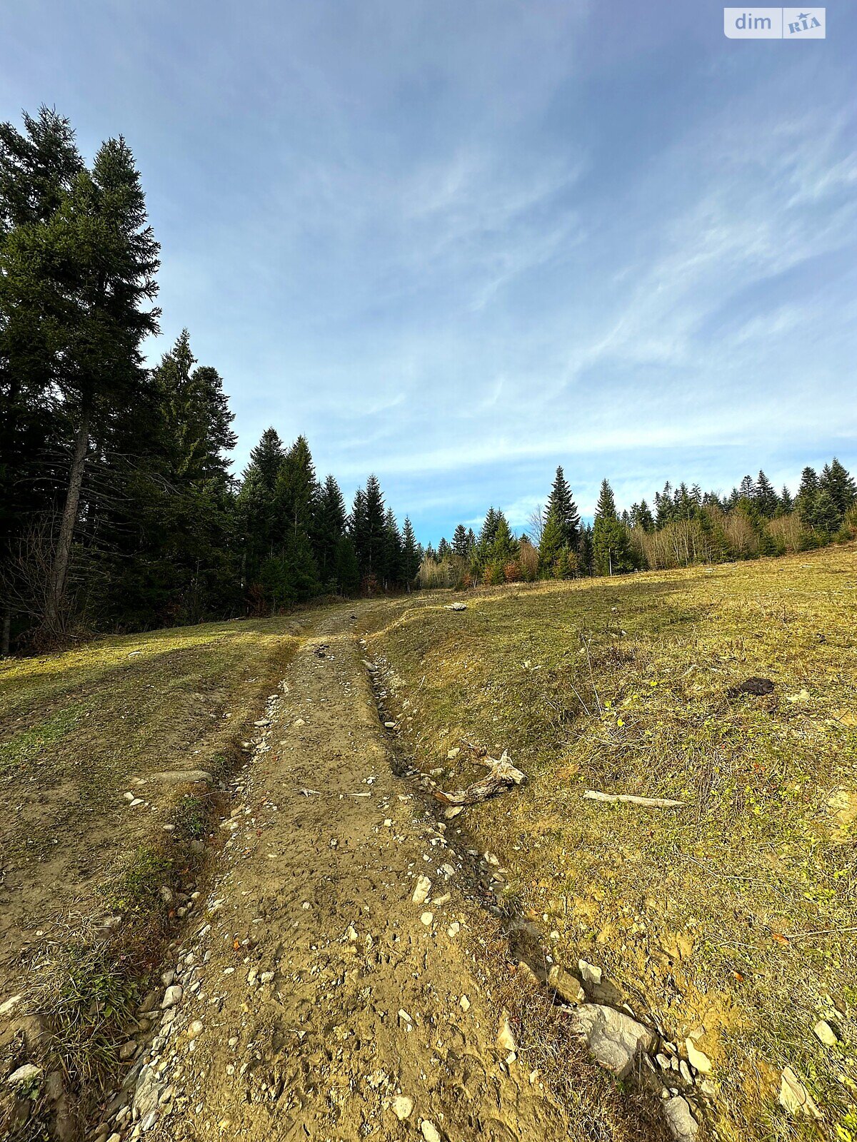 Земельный участок под жилую застройку в Поляниця, площадь 69.3 сотки фото 1 Земельный участок под жилую застройку в Поляниця, площадь 69.3 сотки фото 1