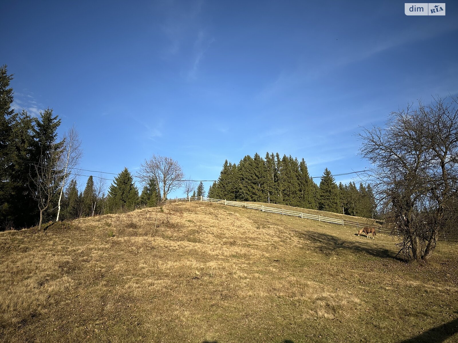 Земельный участок под жилую застройку в Поляниця, площадь 52.72 сотки фото 1 Земельный участок под жилую застройку в Поляниця, площадь 52.72 сотки фото 1