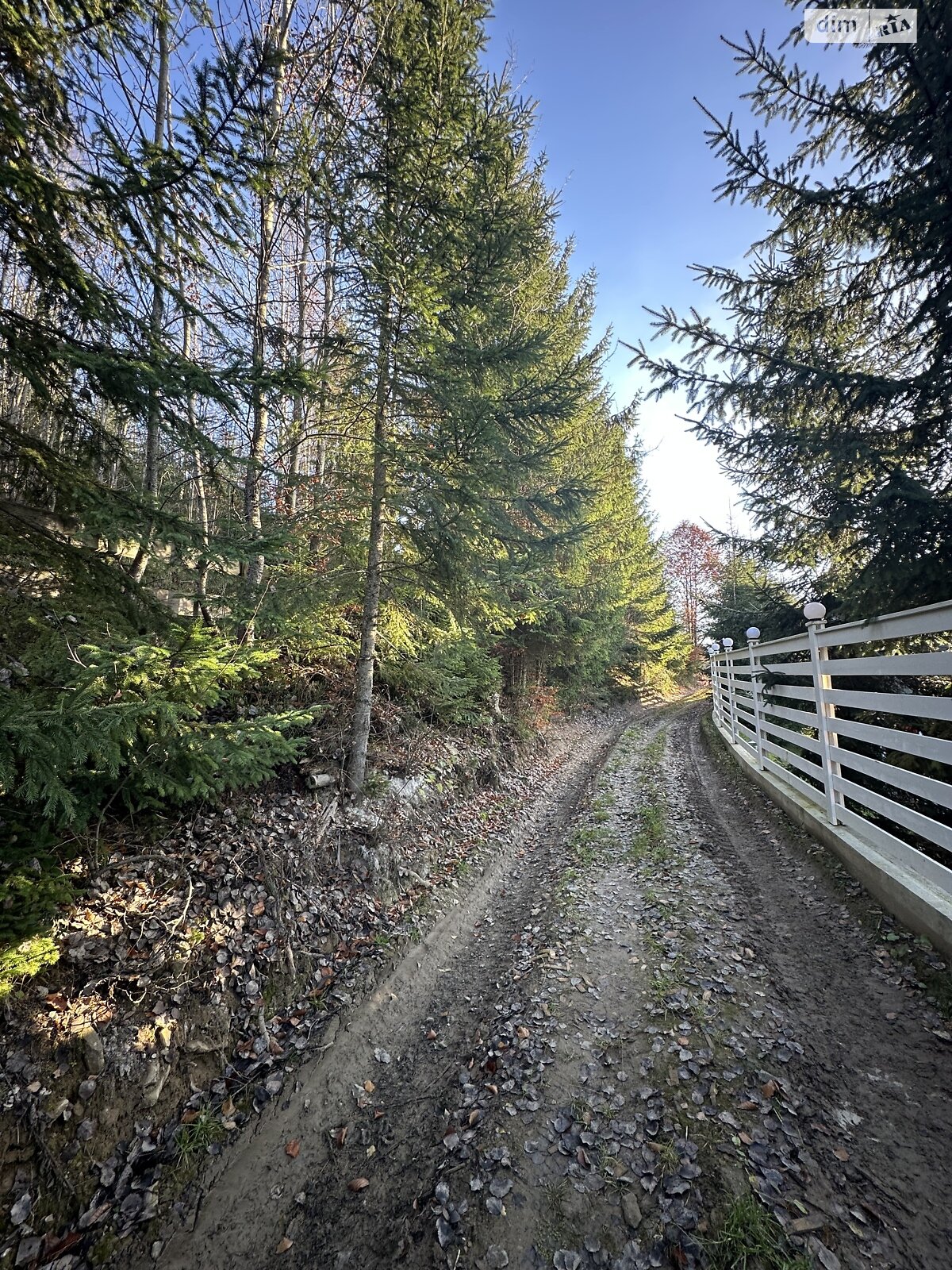 Земельный участок под жилую застройку в Поляниця, площадь 52.72 сотки фото 1 Земельный участок под жилую застройку в Поляниця, площадь 52.72 сотки фото 1