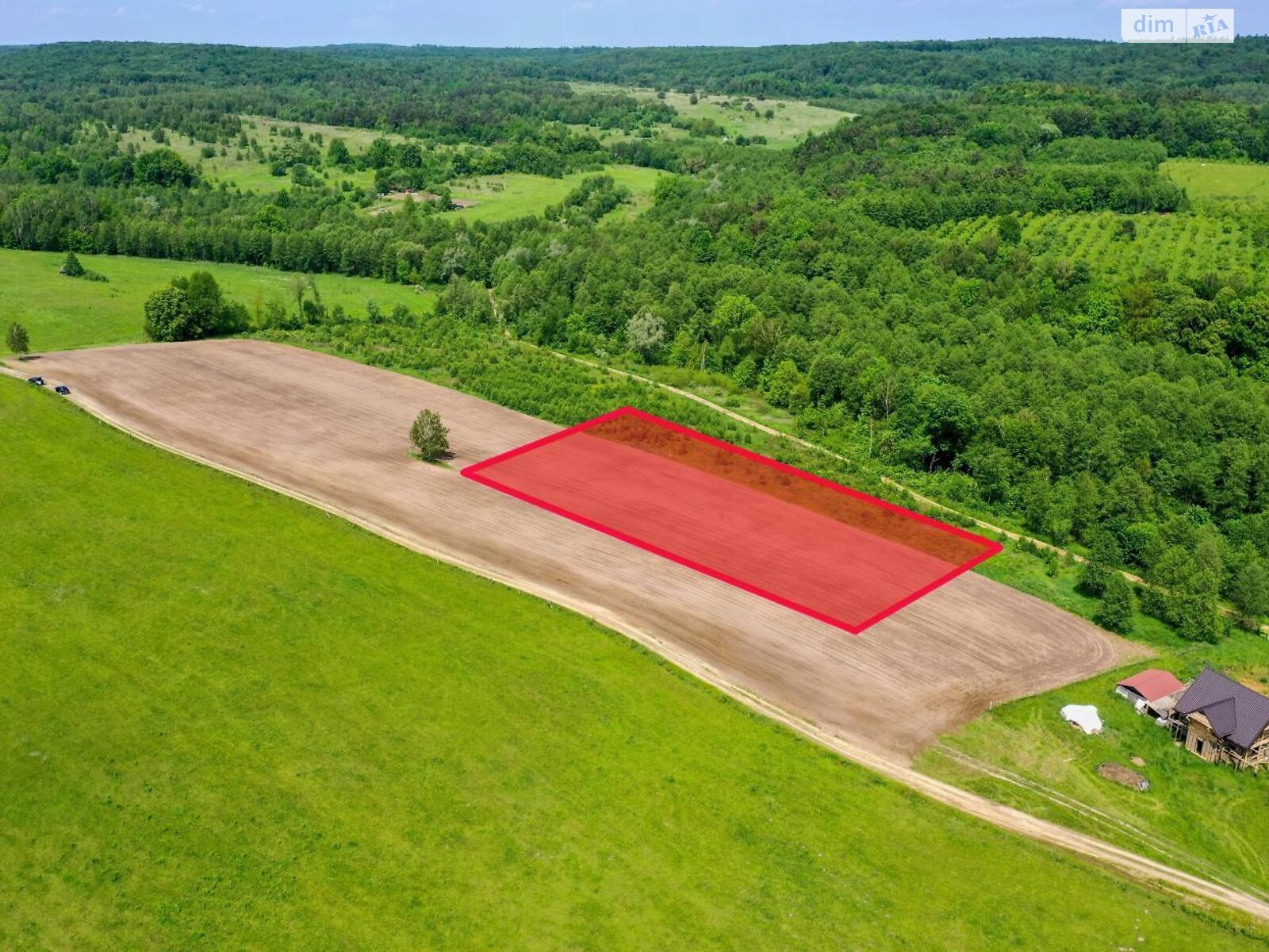 Земельна ділянка під житлову забудову в Полянах, площа 25 соток фото 1