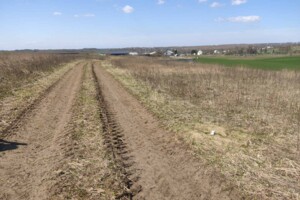 Земельный участок под жилую застройку в Поршне, площадь 12 соток фото 2