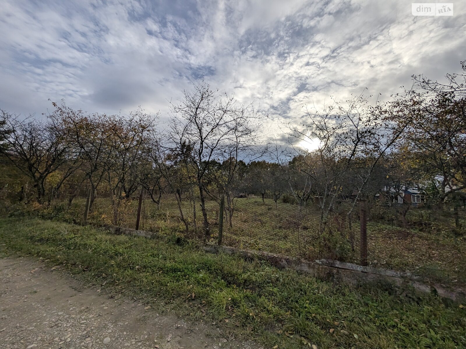 Земельна ділянка під житлову забудову в Посічі, площа 25 соток фото 1 Земельна ділянка під житлову забудову в Посічі, площа 25 соток фото 1