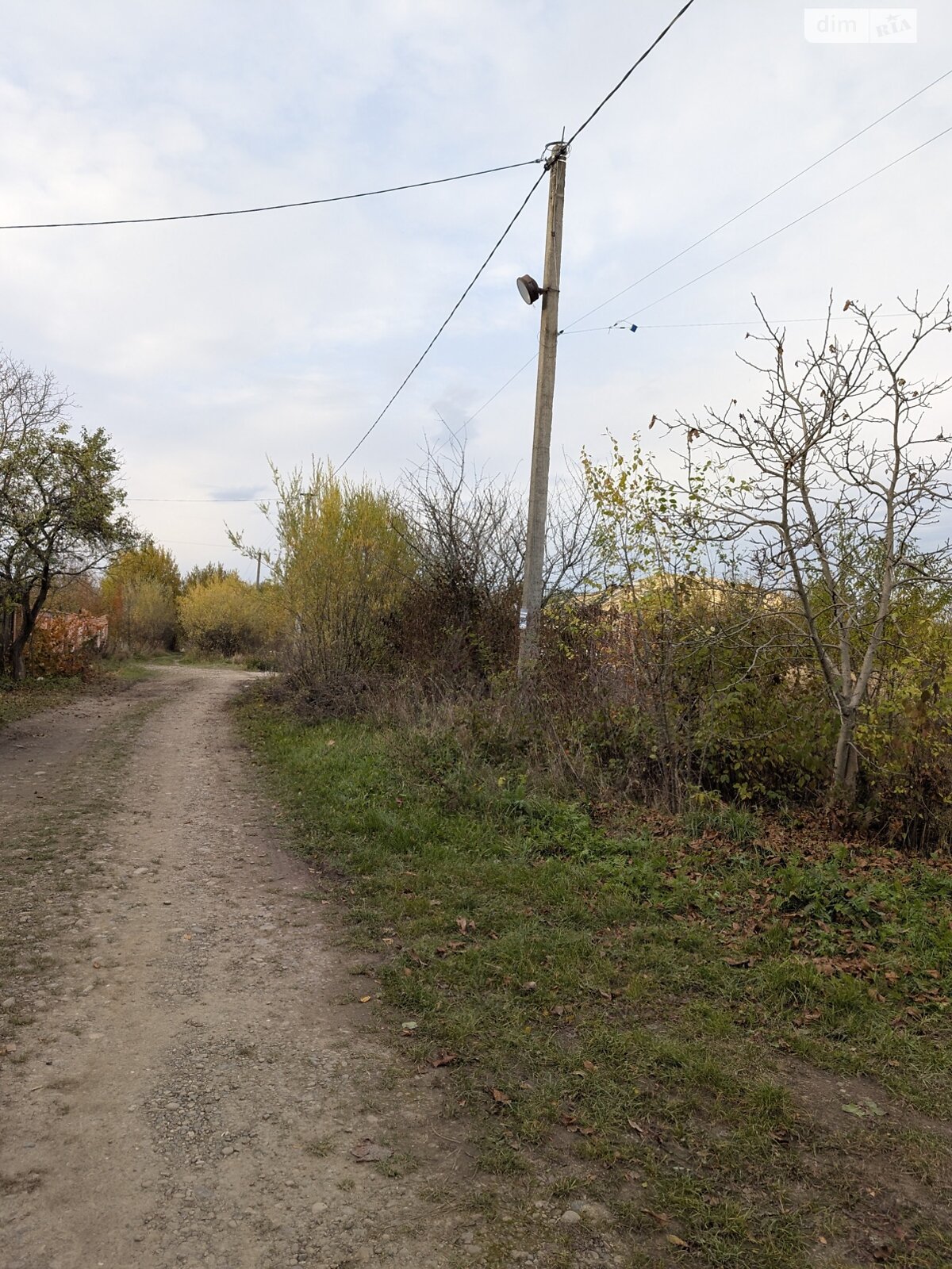 Земельна ділянка під житлову забудову в Посічі, площа 25 соток фото 1 Земельна ділянка під житлову забудову в Посічі, площа 25 соток фото 1