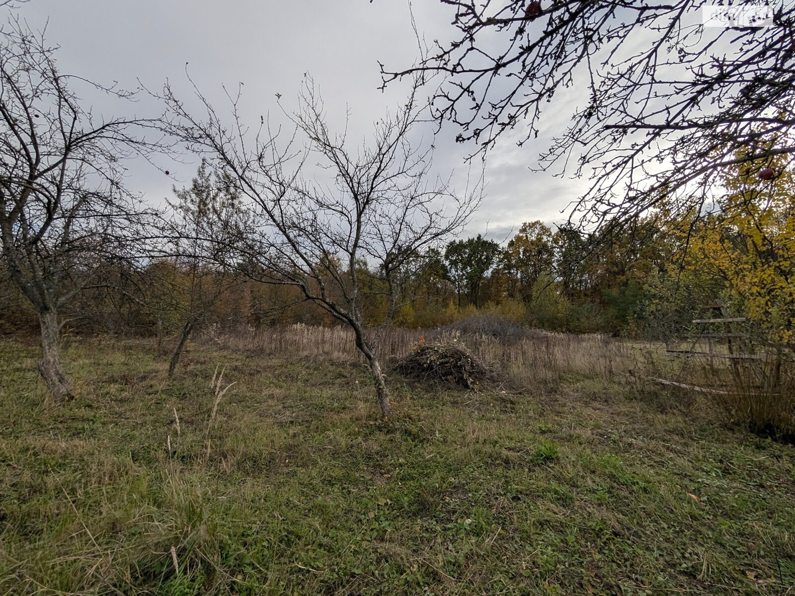 Земельна ділянка під житлову забудову в Посічі, площа 25 соток фото 1 Земельна ділянка під житлову забудову в Посічі, площа 25 соток фото 1