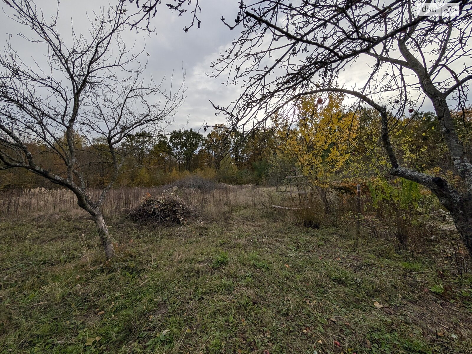 Земельна ділянка під житлову забудову в Посічі, площа 25 соток фото 1 Земельна ділянка під житлову забудову в Посічі, площа 25 соток фото 1