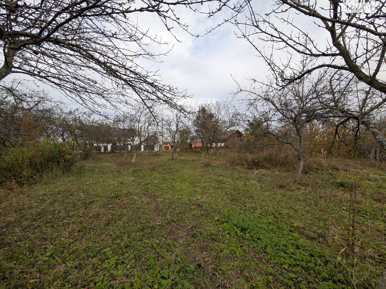 Земельна ділянка під житлову забудову в Посічі, площа 25 соток фото 1 Земельна ділянка під житлову забудову в Посічі, площа 25 соток фото 1