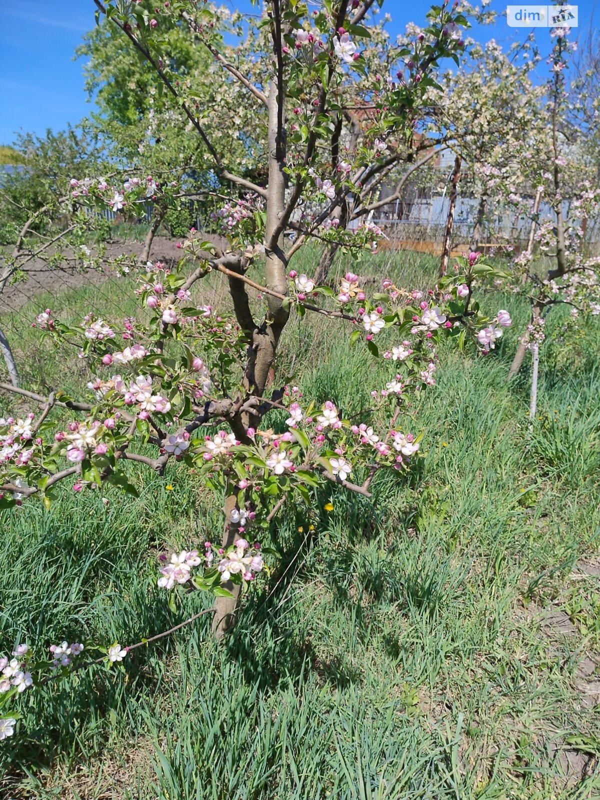 Земельный участок под жилую застройку в Правдовке, площадь 28 соток фото 1 Земельный участок под жилую застройку в Правдовке, площадь 28 соток фото 1