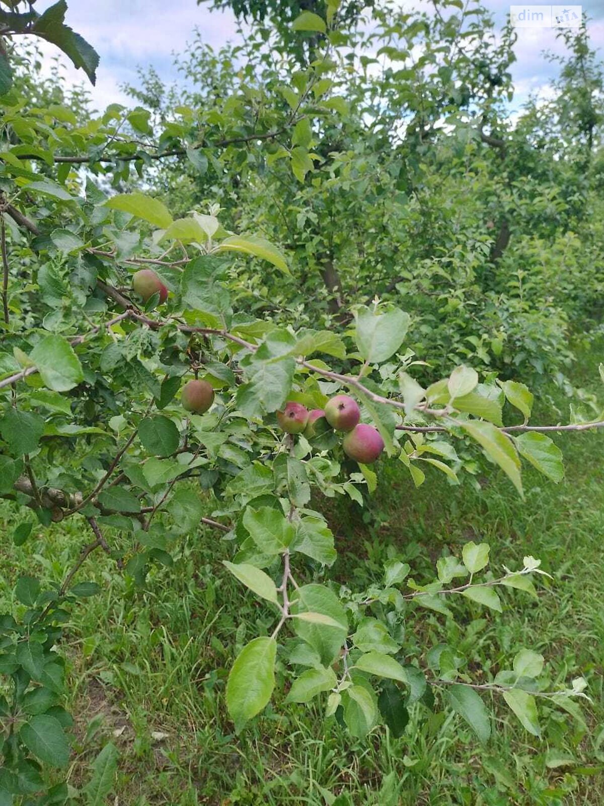 Земельный участок под жилую застройку в Правдовке, площадь 28 соток фото 1 Земельный участок под жилую застройку в Правдовке, площадь 28 соток фото 1