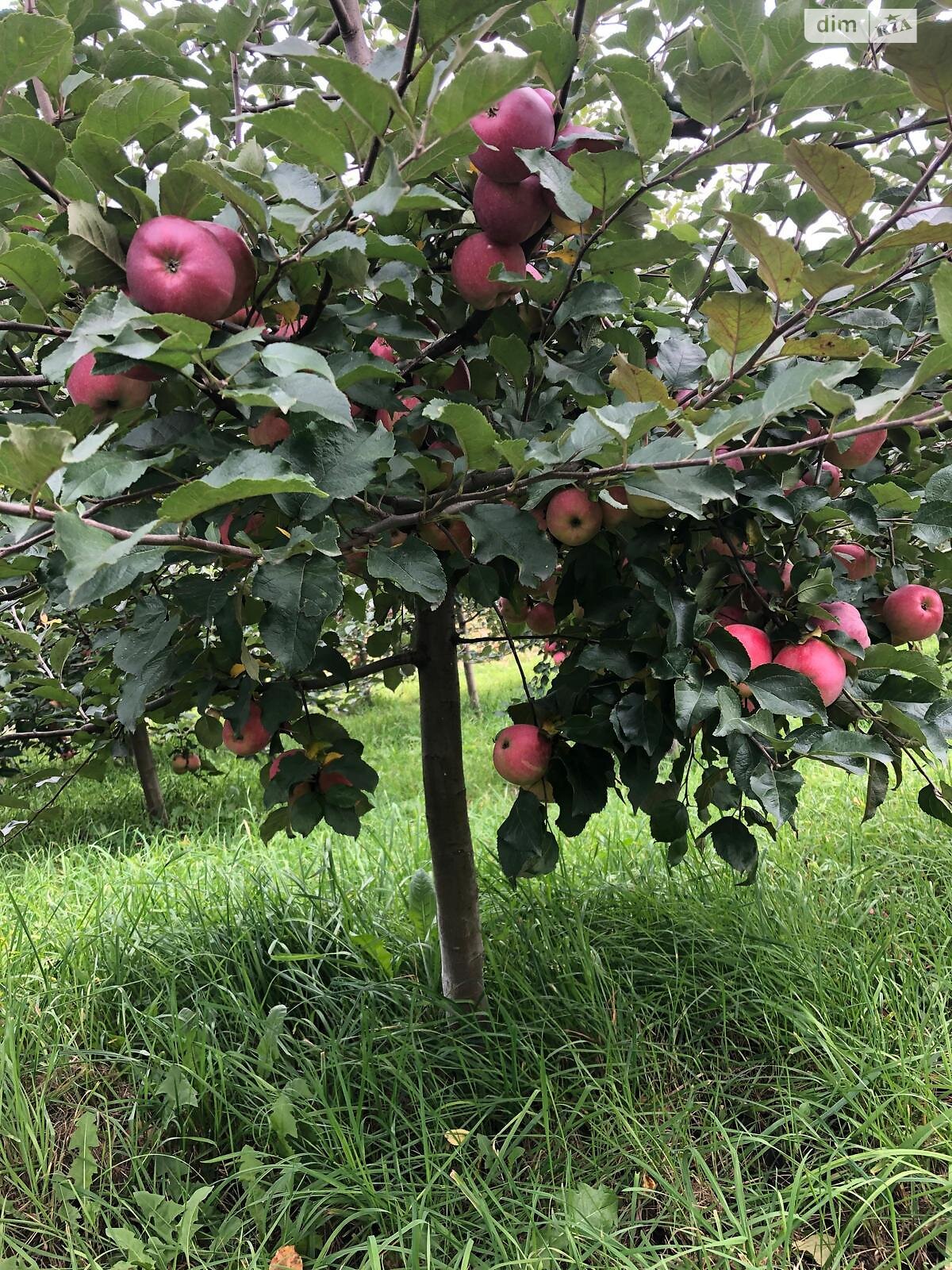 Земельный участок под жилую застройку в Правдовке, площадь 28 соток фото 1 Земельный участок под жилую застройку в Правдовке, площадь 28 соток фото 1
