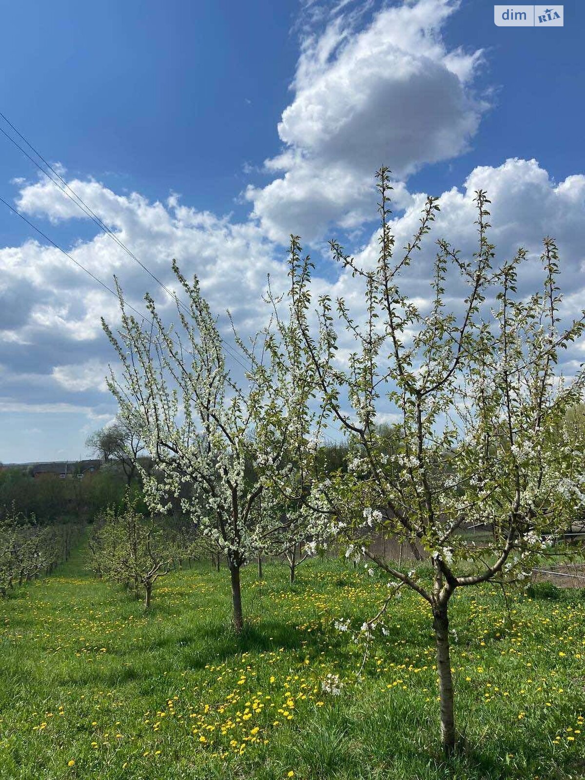 Земельный участок под жилую застройку в Правдовке, площадь 28 соток фото 1 Земельный участок под жилую застройку в Правдовке, площадь 28 соток фото 1