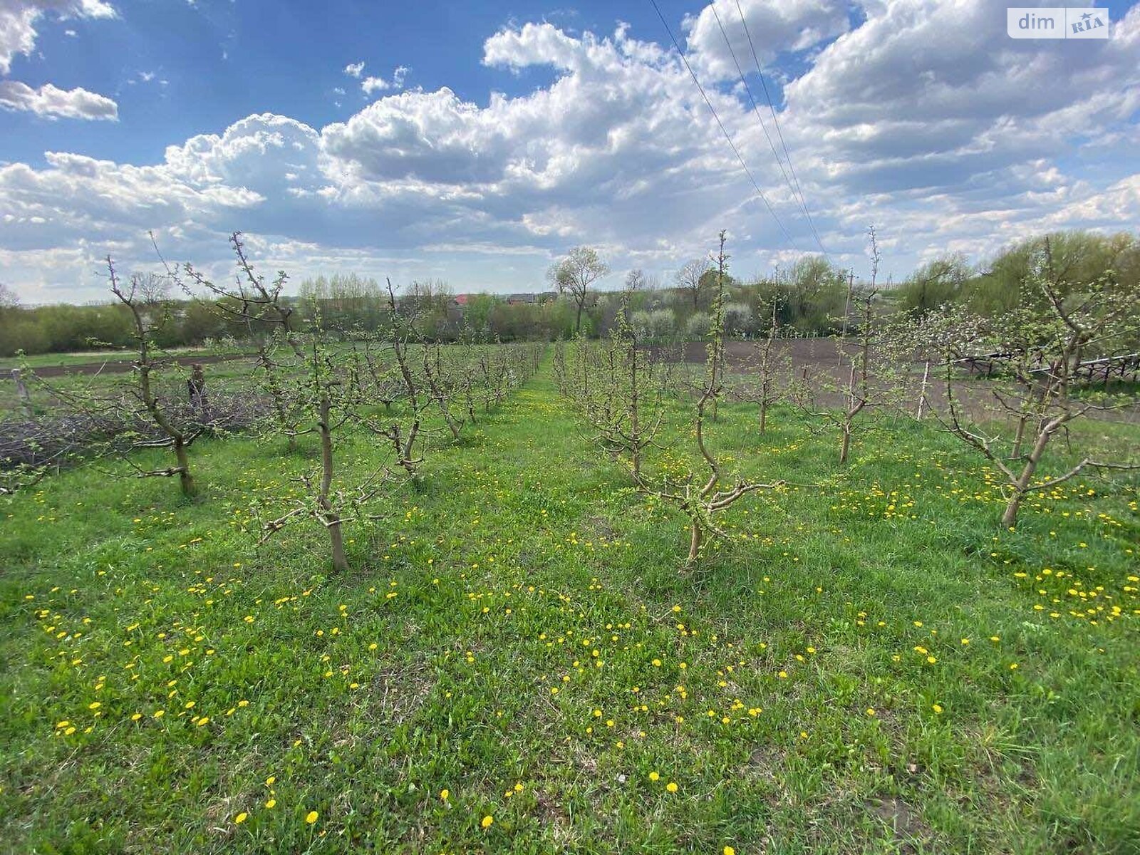 Земельный участок под жилую застройку в Правдовке, площадь 28 соток фото 1 Земельный участок под жилую застройку в Правдовке, площадь 28 соток фото 1