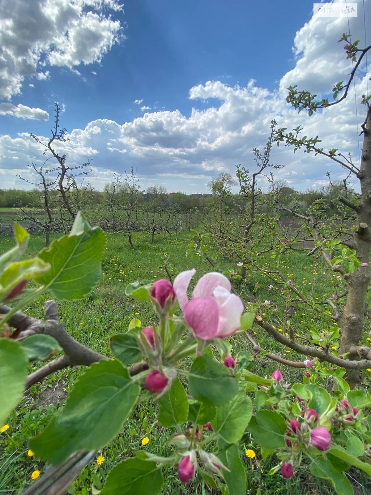 Земельный участок под жилую застройку в Правдовке, площадь 28 соток фото 1 Земельный участок под жилую застройку в Правдовке, площадь 28 соток фото 1