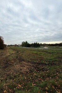 Земельна ділянка під житлову забудову в Прибужанах, площа 15.99 сотки фото 2