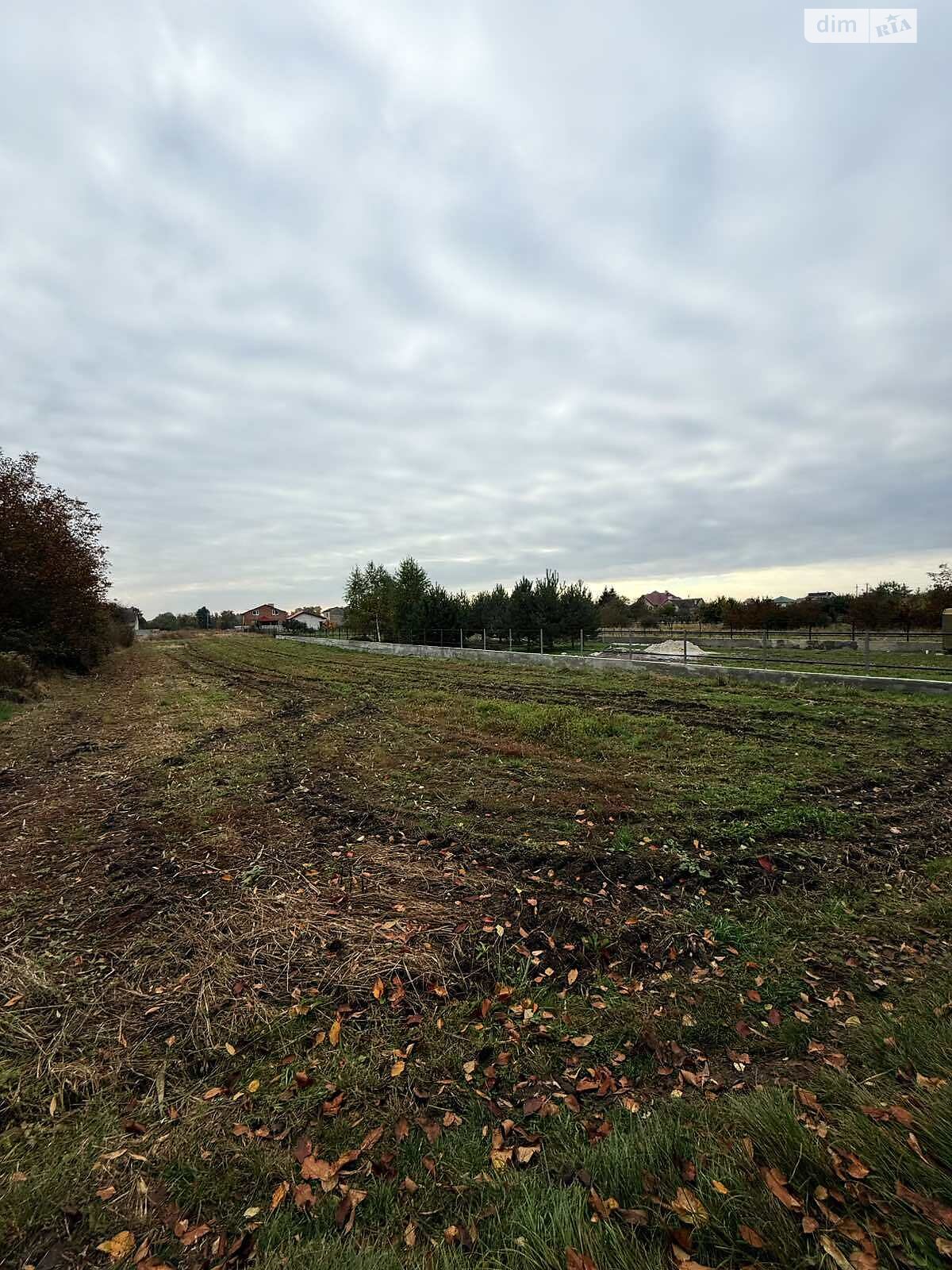 Земельна ділянка під житлову забудову в Прибужанах, площа 15.99 сотки фото 1 Земельна ділянка під житлову забудову в Прибужанах, площа 15.99 сотки фото 1