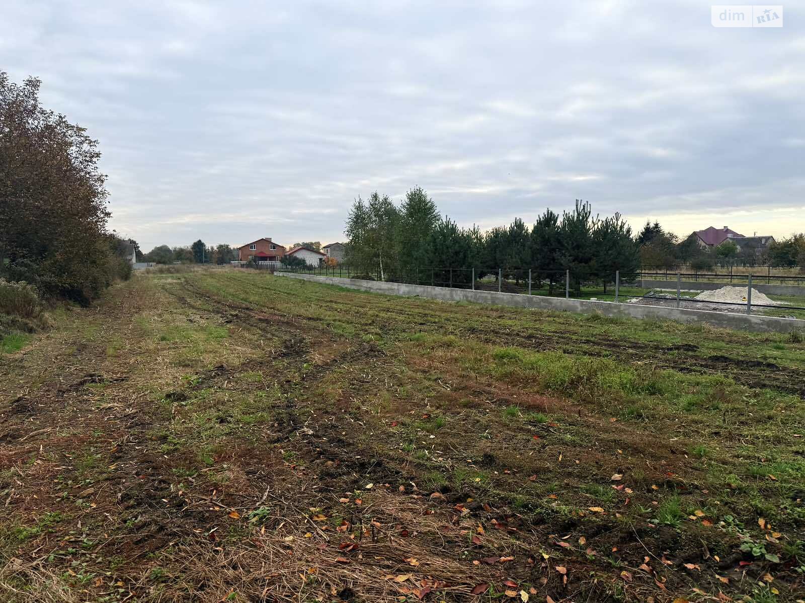 Земельна ділянка під житлову забудову в Прибужанах, площа 15.99 сотки фото 1 Земельна ділянка під житлову забудову в Прибужанах, площа 15.99 сотки фото 1