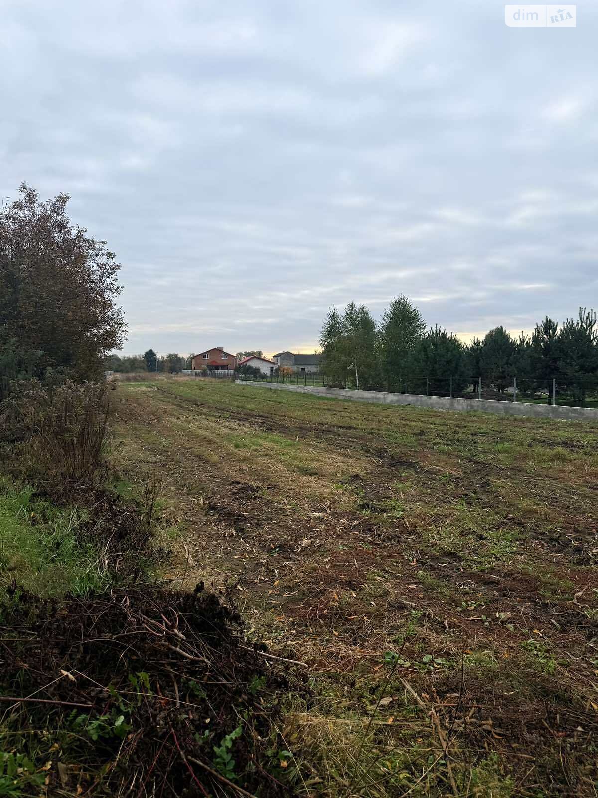 Земельна ділянка під житлову забудову в Прибужанах, площа 15.99 сотки фото 1 Земельна ділянка під житлову забудову в Прибужанах, площа 15.99 сотки фото 1