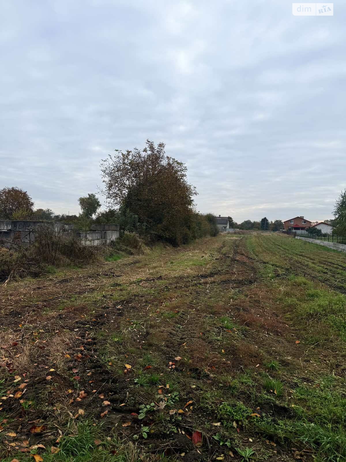 Земельна ділянка під житлову забудову в Прибужанах, площа 15.99 сотки фото 1 Земельна ділянка під житлову забудову в Прибужанах, площа 15.99 сотки фото 1