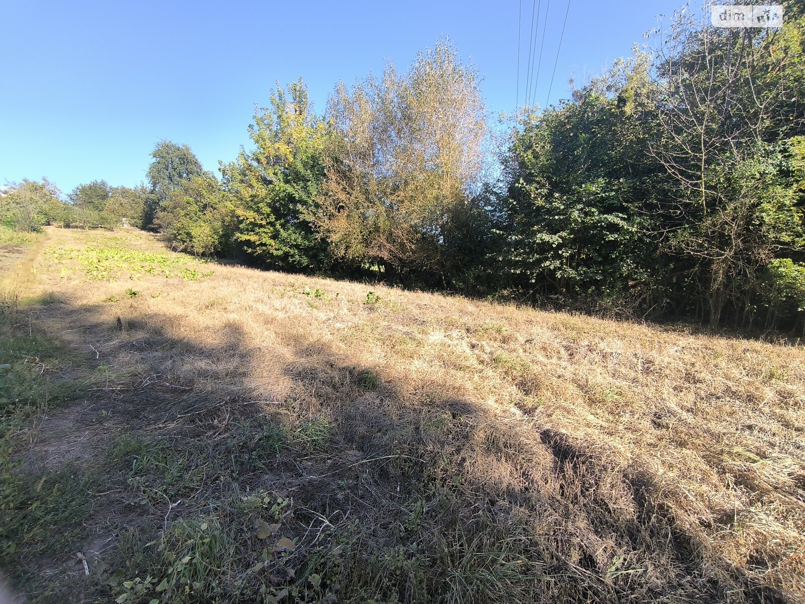 Земельна ділянка під житлову забудову в Прибузькому, площа 22 сотки фото 1