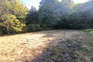 Земельна ділянка під житлову забудову в Прибузькому, площа 22 сотки фото 2