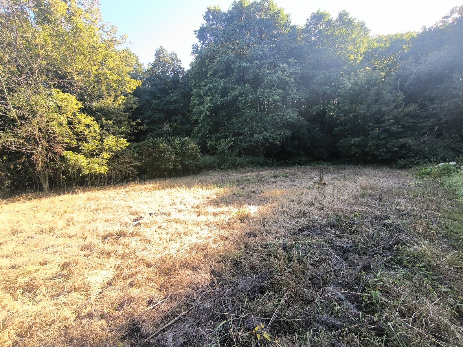 Земельна ділянка під житлову забудову в Прибузькому, площа 22 сотки фото 1