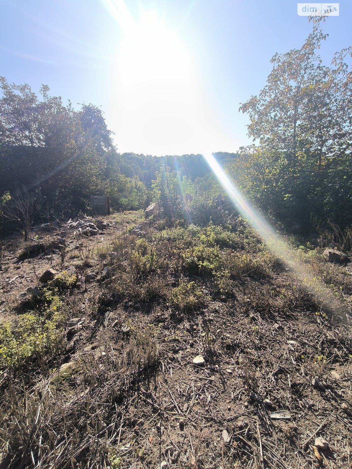 Земельна ділянка під житлову забудову в Прибузькому, площа 22 сотки фото 1