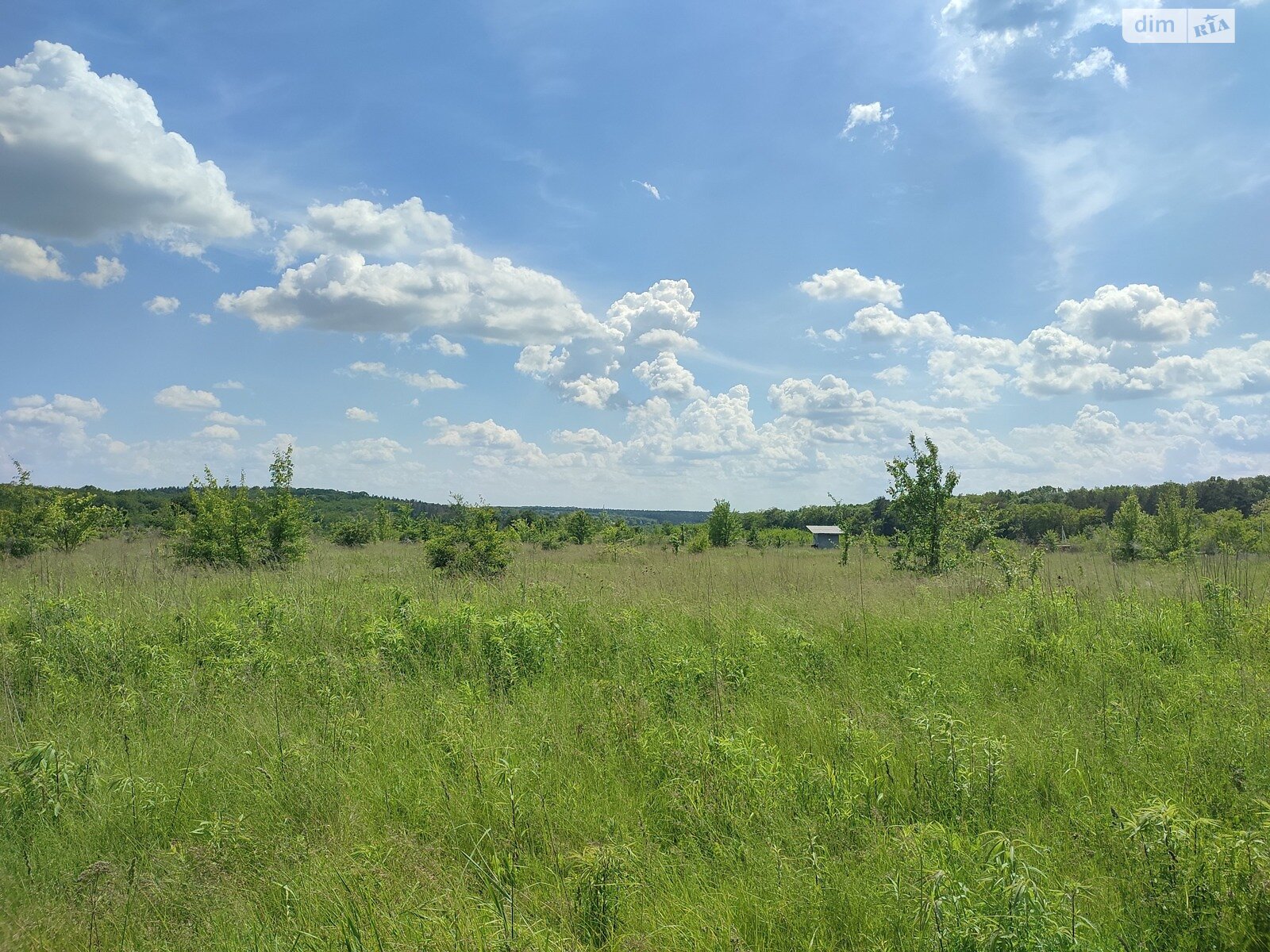 Земельна ділянка під житлову забудову в Прибузькому, площа 6 соток фото 1