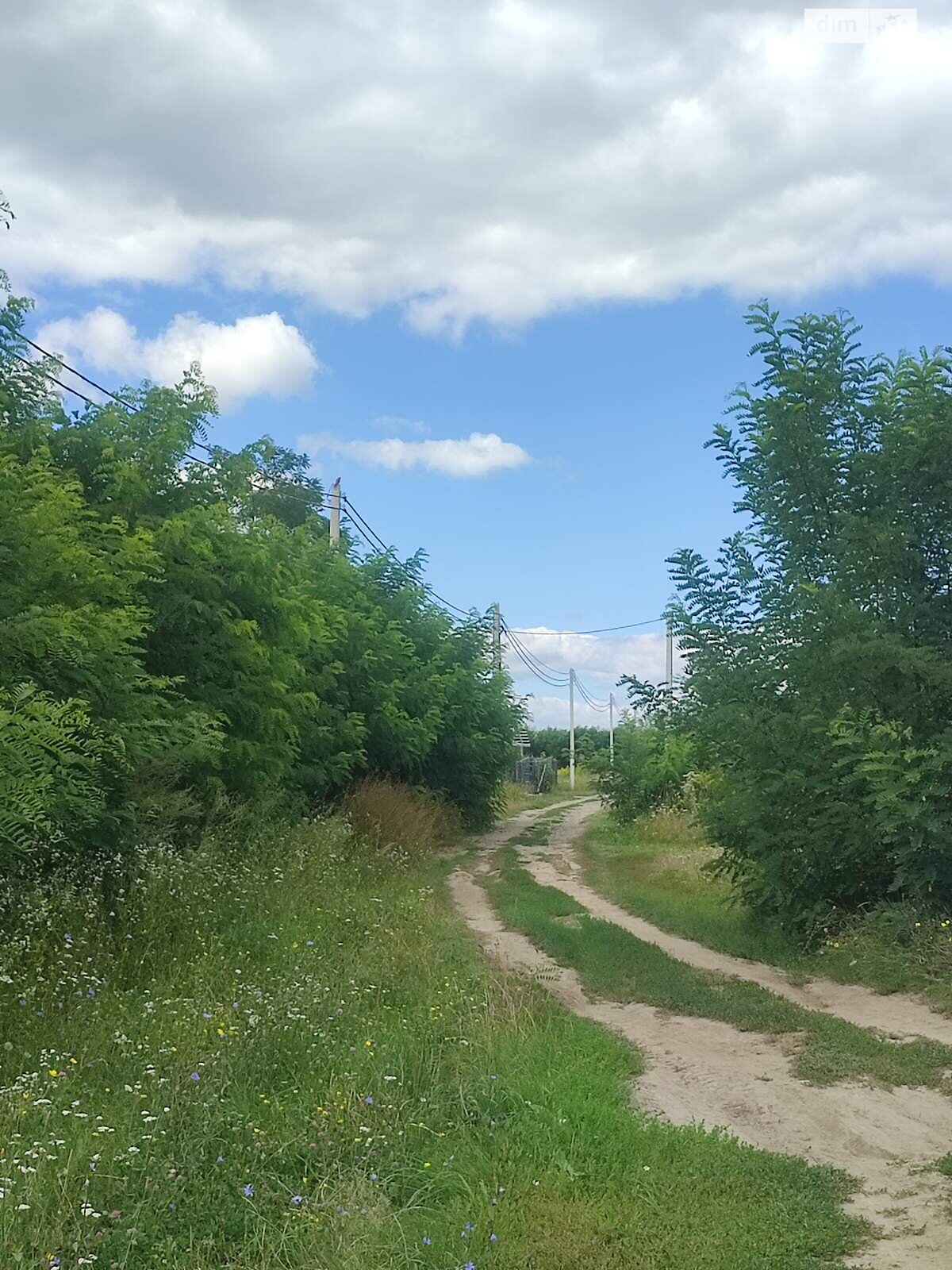 Земельна ділянка під житлову забудову в Прибузькому, площа 5 соток фото 1