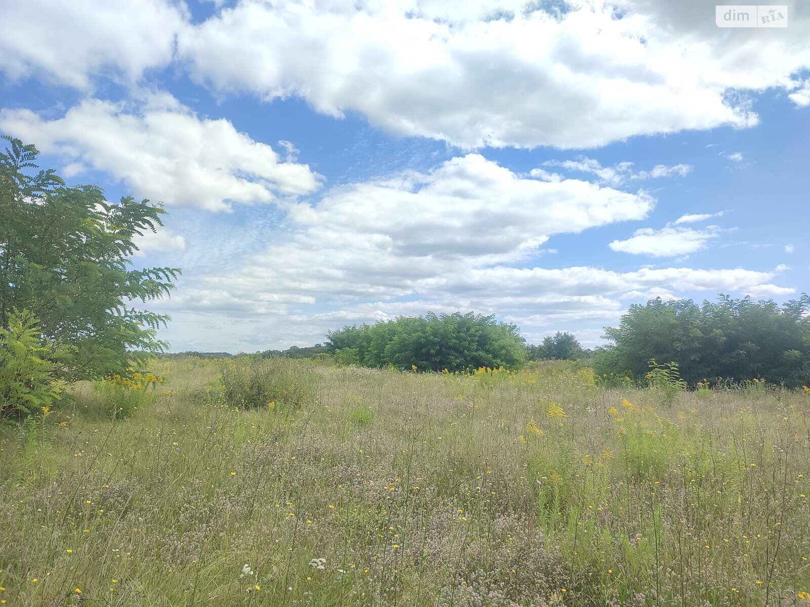 Земельна ділянка під житлову забудову в Прибузькому, площа 5 соток фото 1