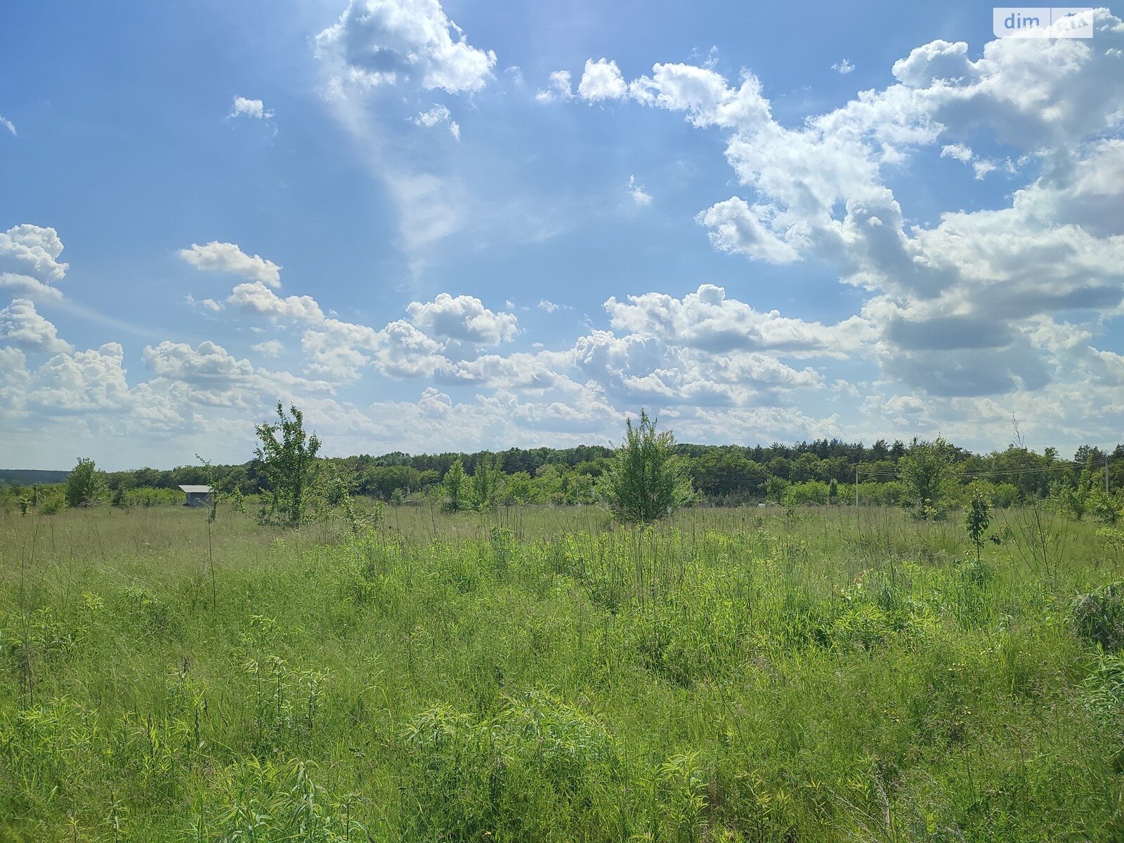 Земельна ділянка під житлову забудову в Прибузькому, площа 5 соток фото 1