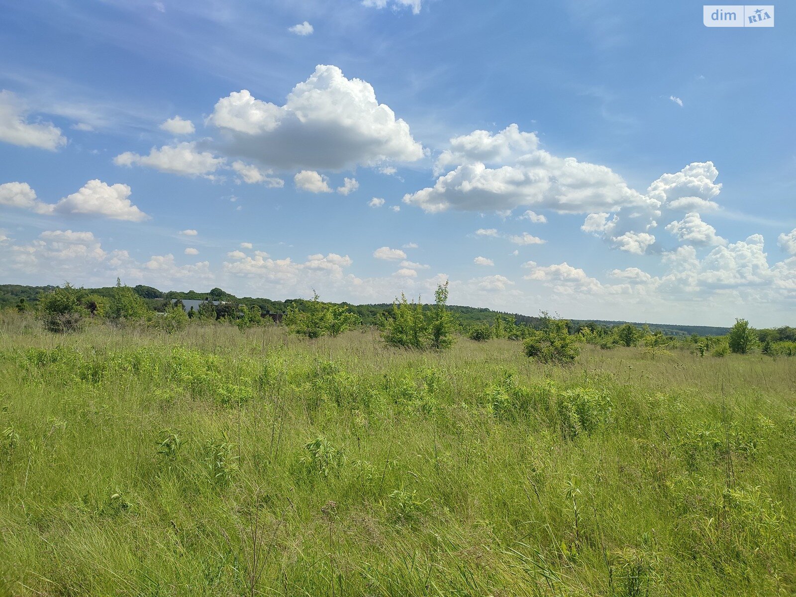 Земельна ділянка під житлову забудову в Прибузькому, площа 5 соток фото 1