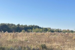 Земельный участок под жилую застройку в Прибужскому, площадь 5 соток фото 2